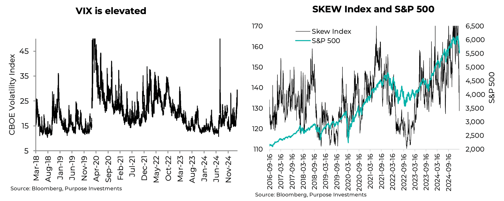 VIX is elevated; SKEW Index and S&P 500