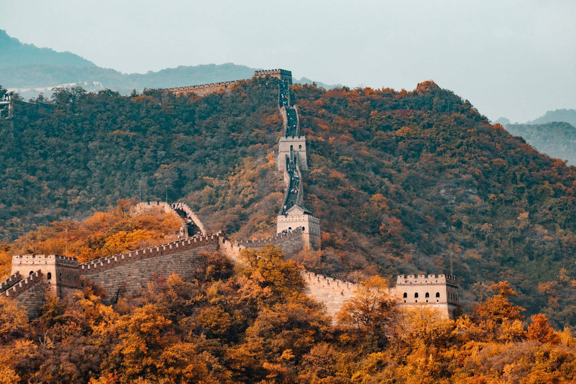 China: From Uninvestable to FOMO