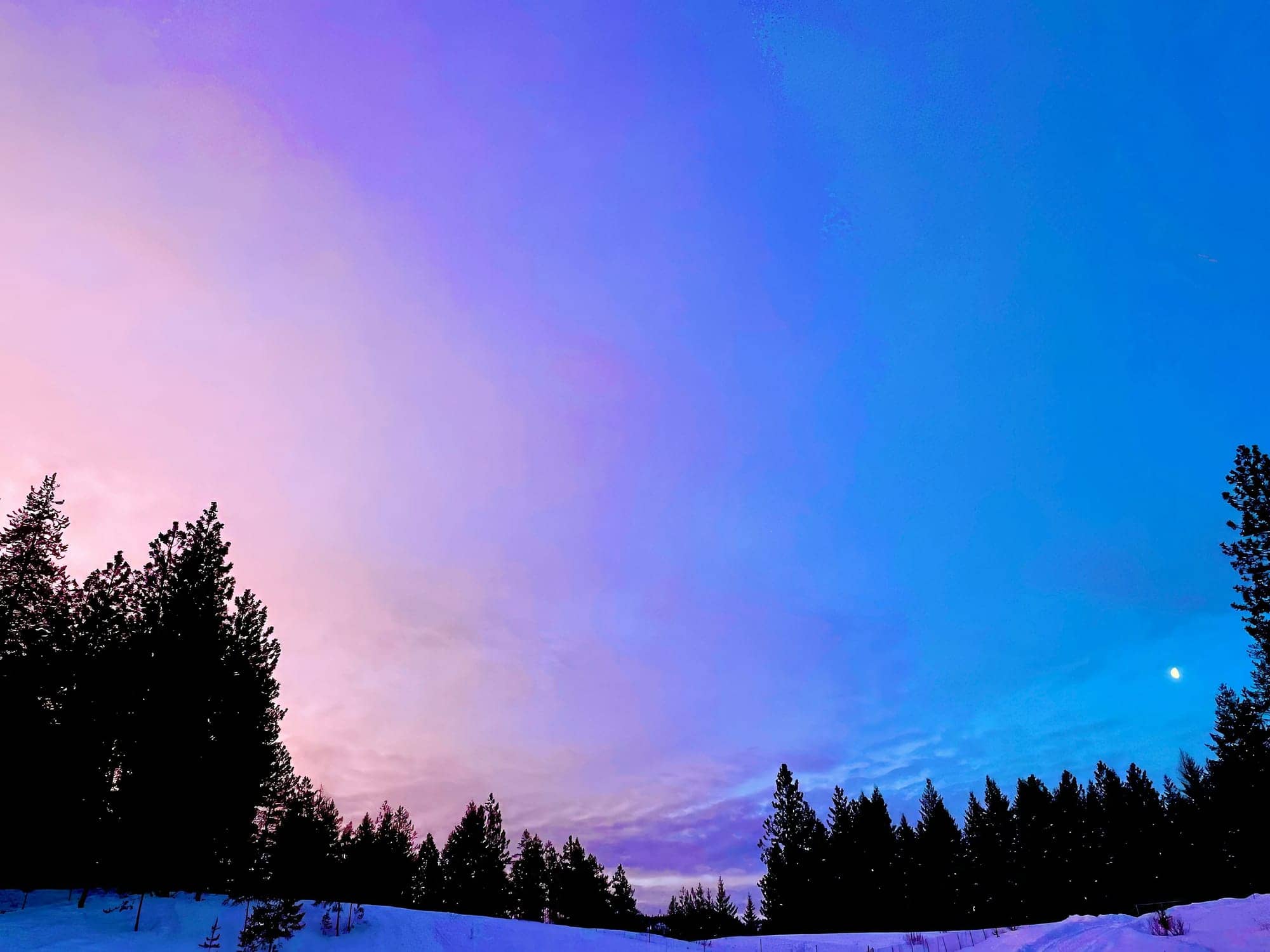 Investissements Purpose annonce les distributions de novembre 2025