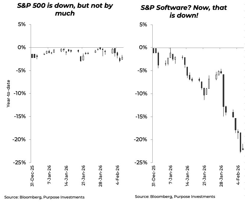 S&P 500 vs S&P Software