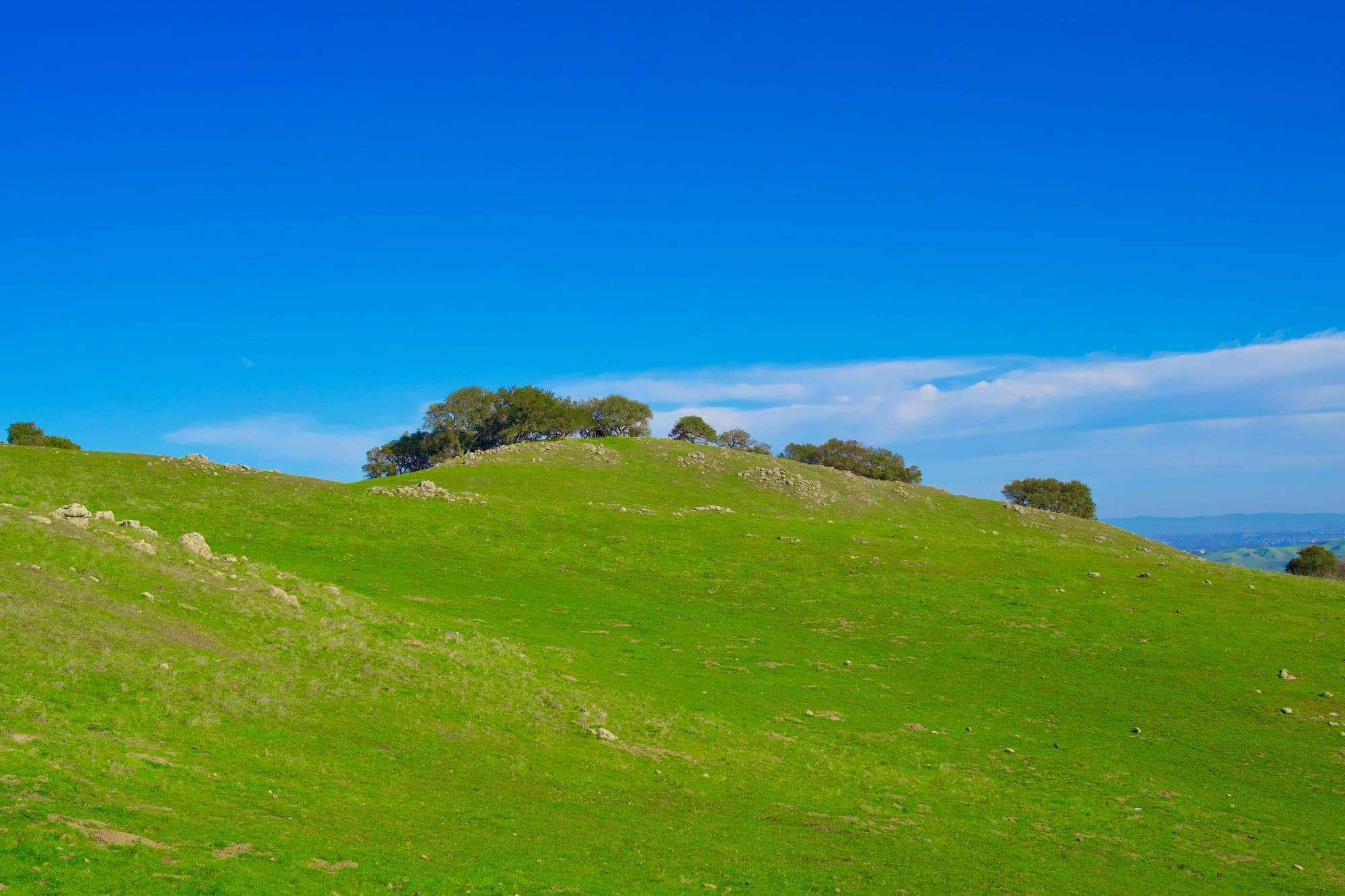 Purpose Investments annonce le taux de distribution final de mars 2026 pour le Fonds d’épargne à intérêt élevé Purpose, le Fonds de trésorerie américain Purpose, le Fonds de gestion de trésorerie Purpose et le Fonds de trésorerie américain Purpose