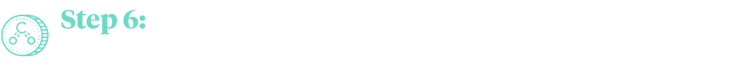 Step 6: Offset Carbon Emissions