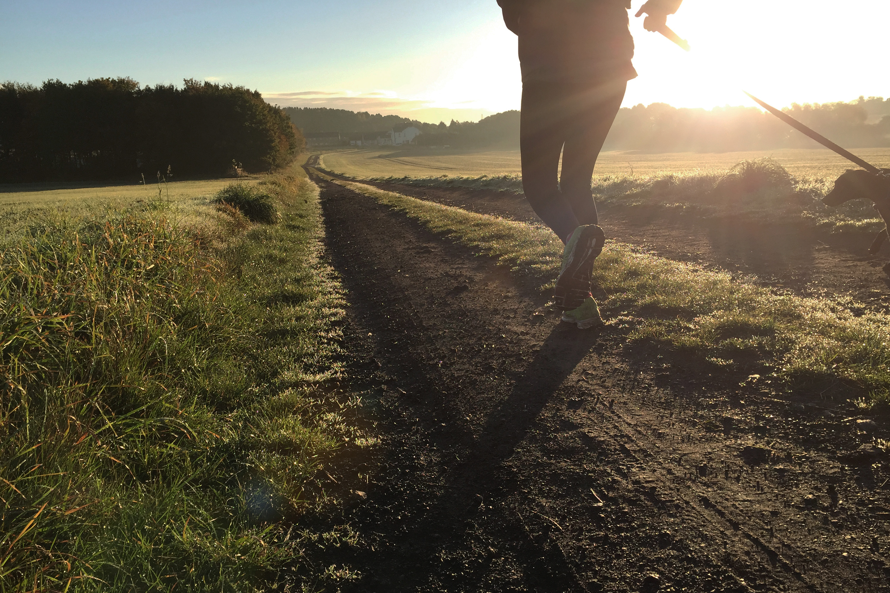 Revenu fixe Background