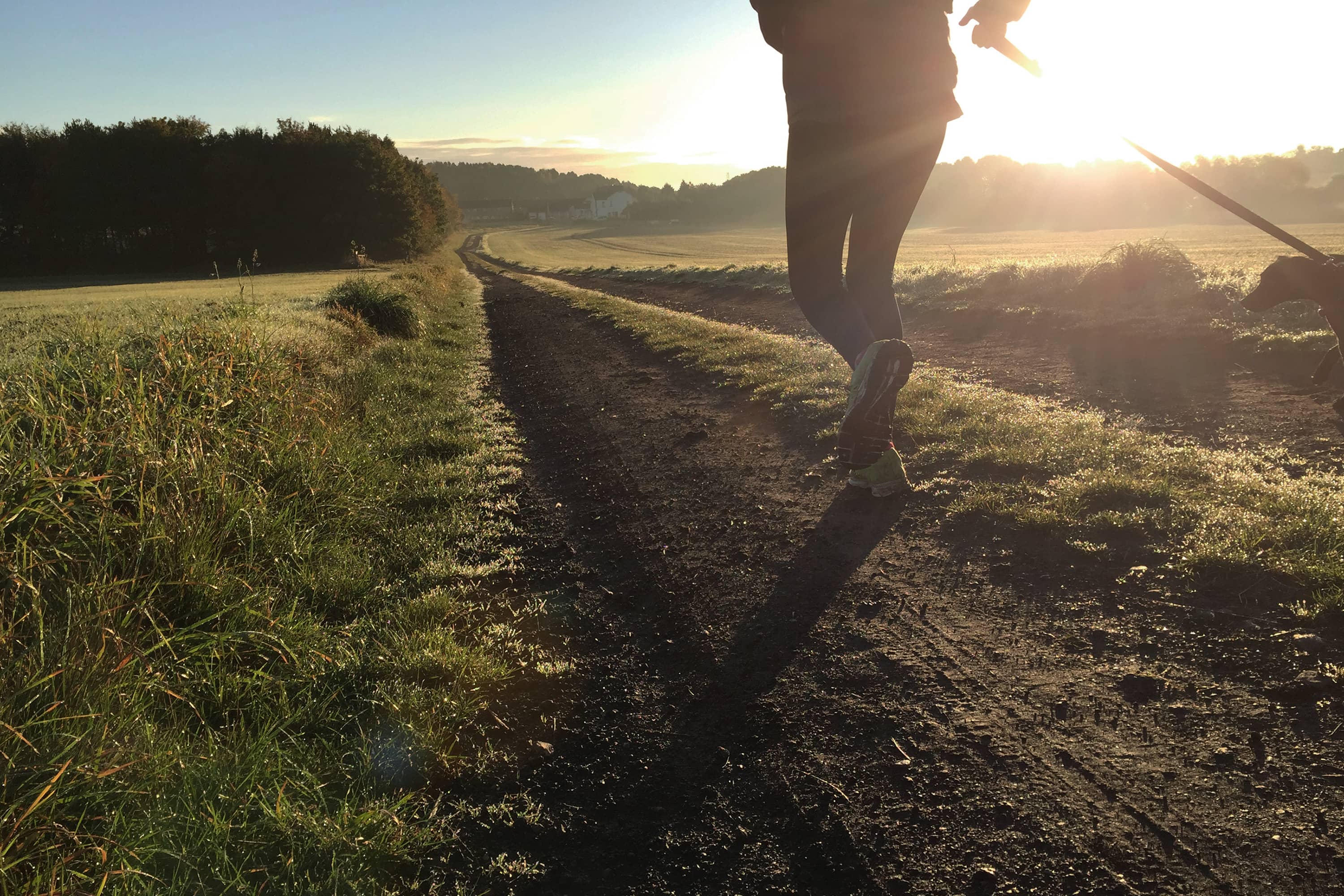 Purpose Global Bond Fund