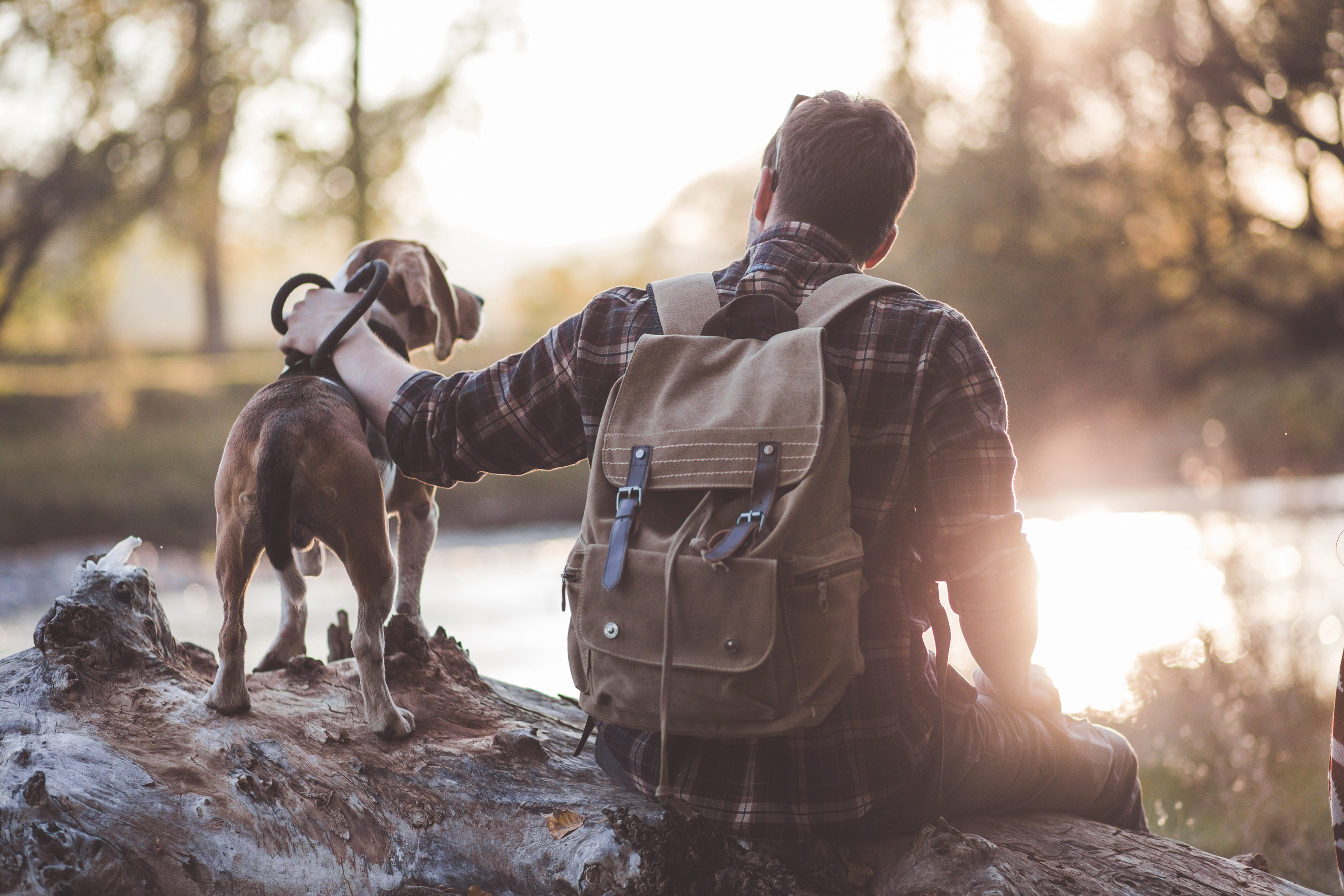 Revenu fixe Background