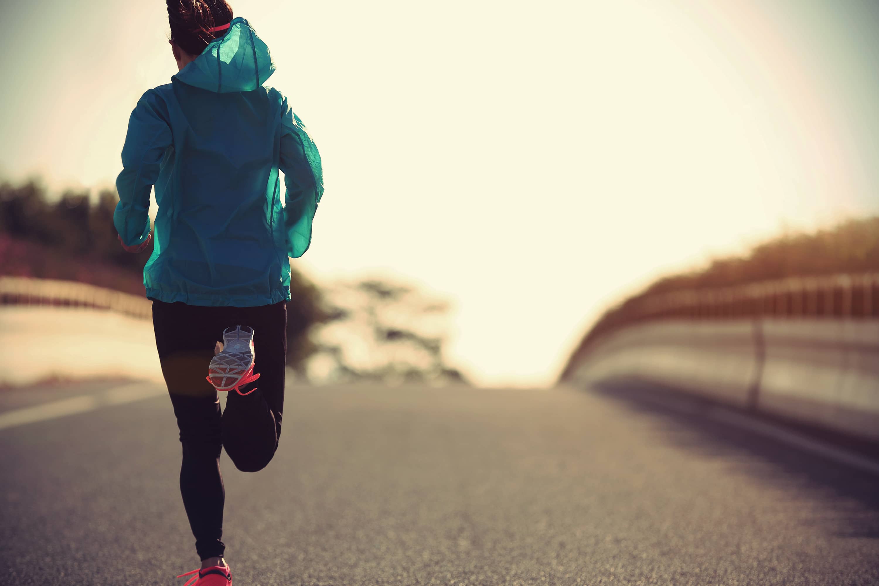 Purpose Best Ideas Fund