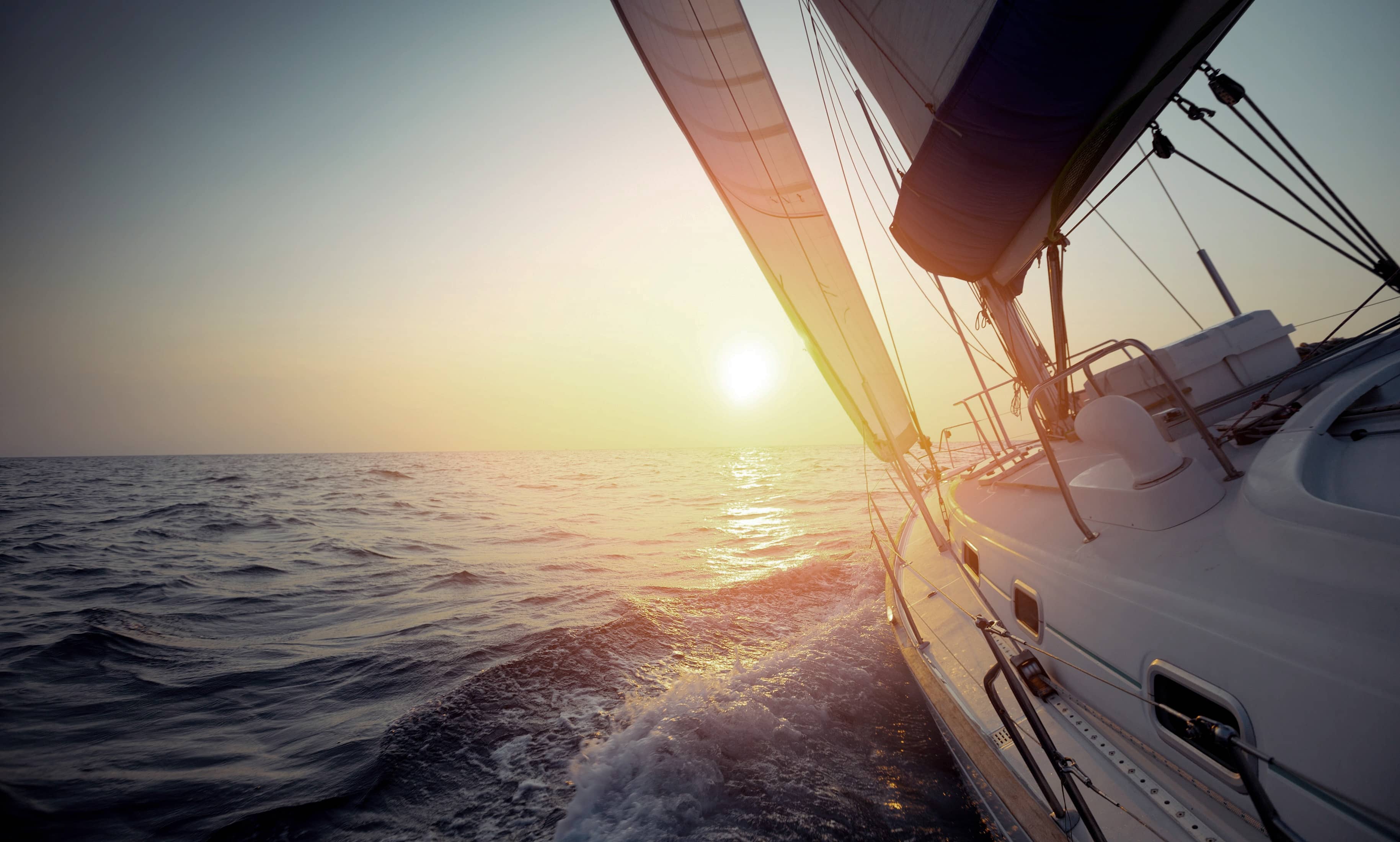 Purpose International Dividend Fund