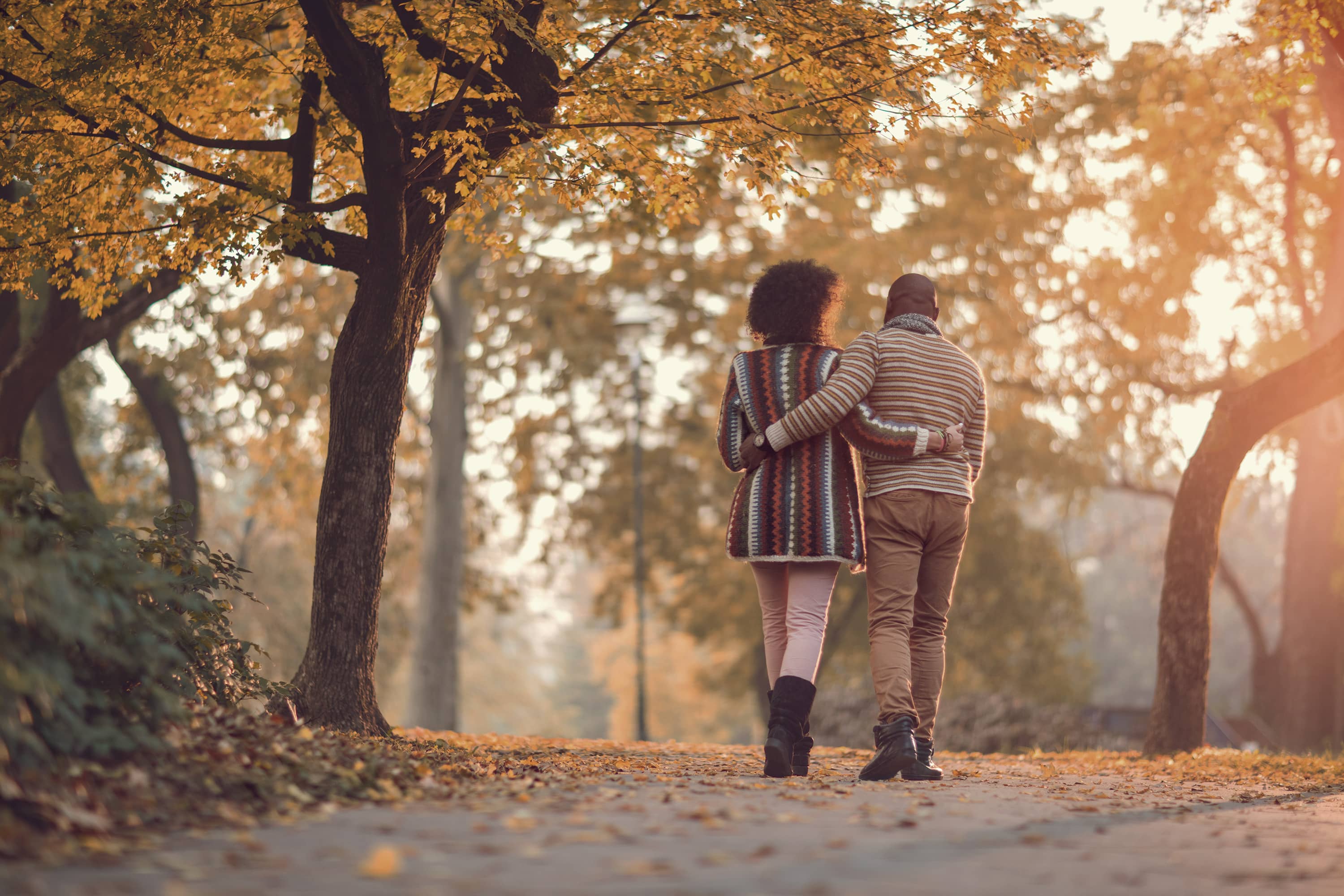 Fonds d’occasions liées à la marijuana purpose