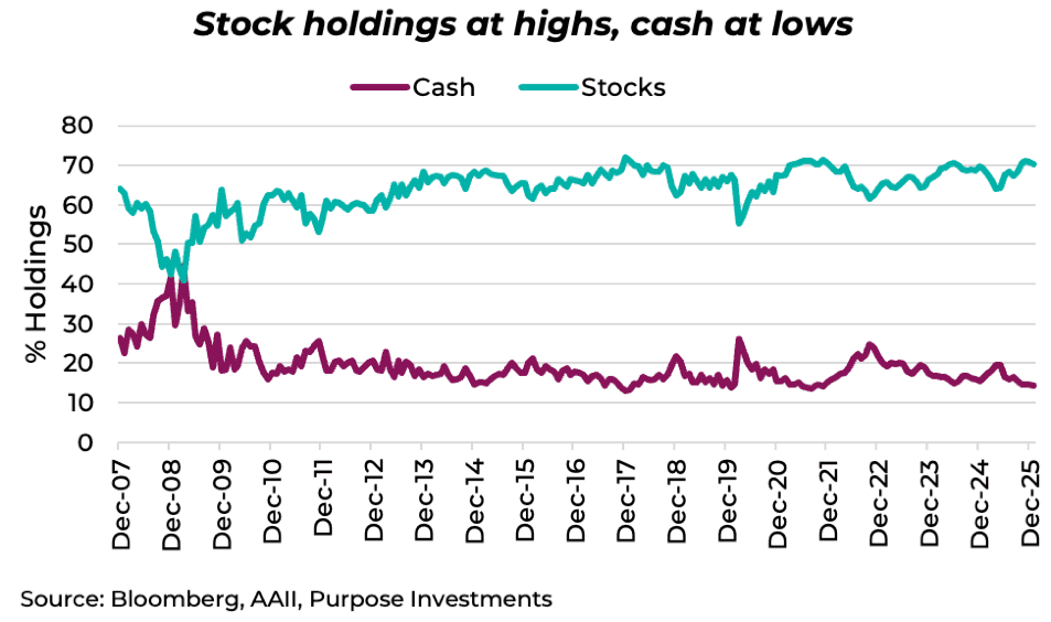 Stock holdings at highs, cash at lows