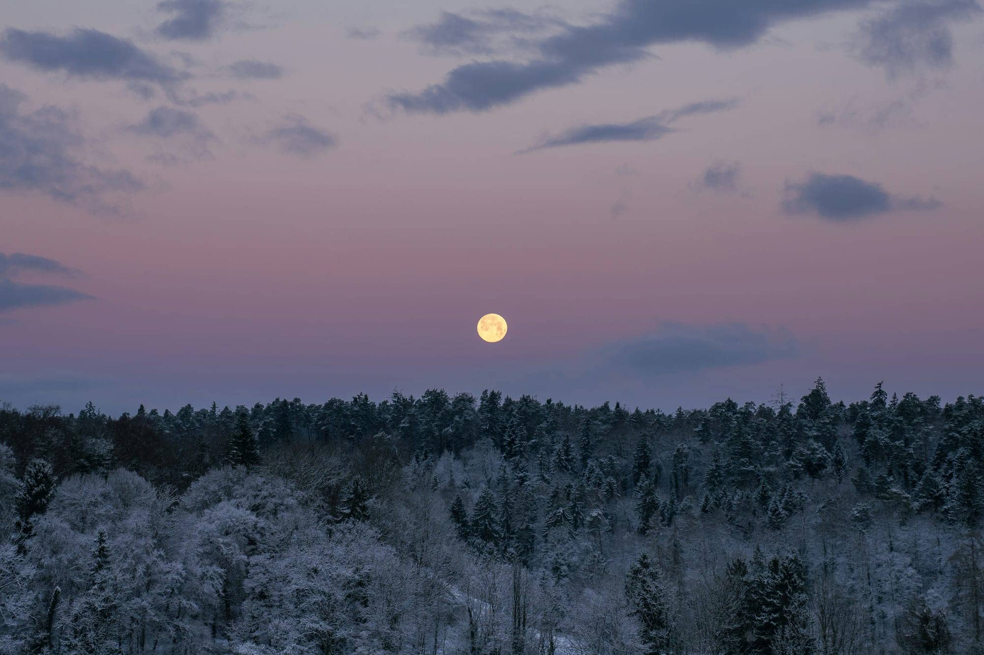 Purpose Investments Inc. annonce les distributions de mars 2026