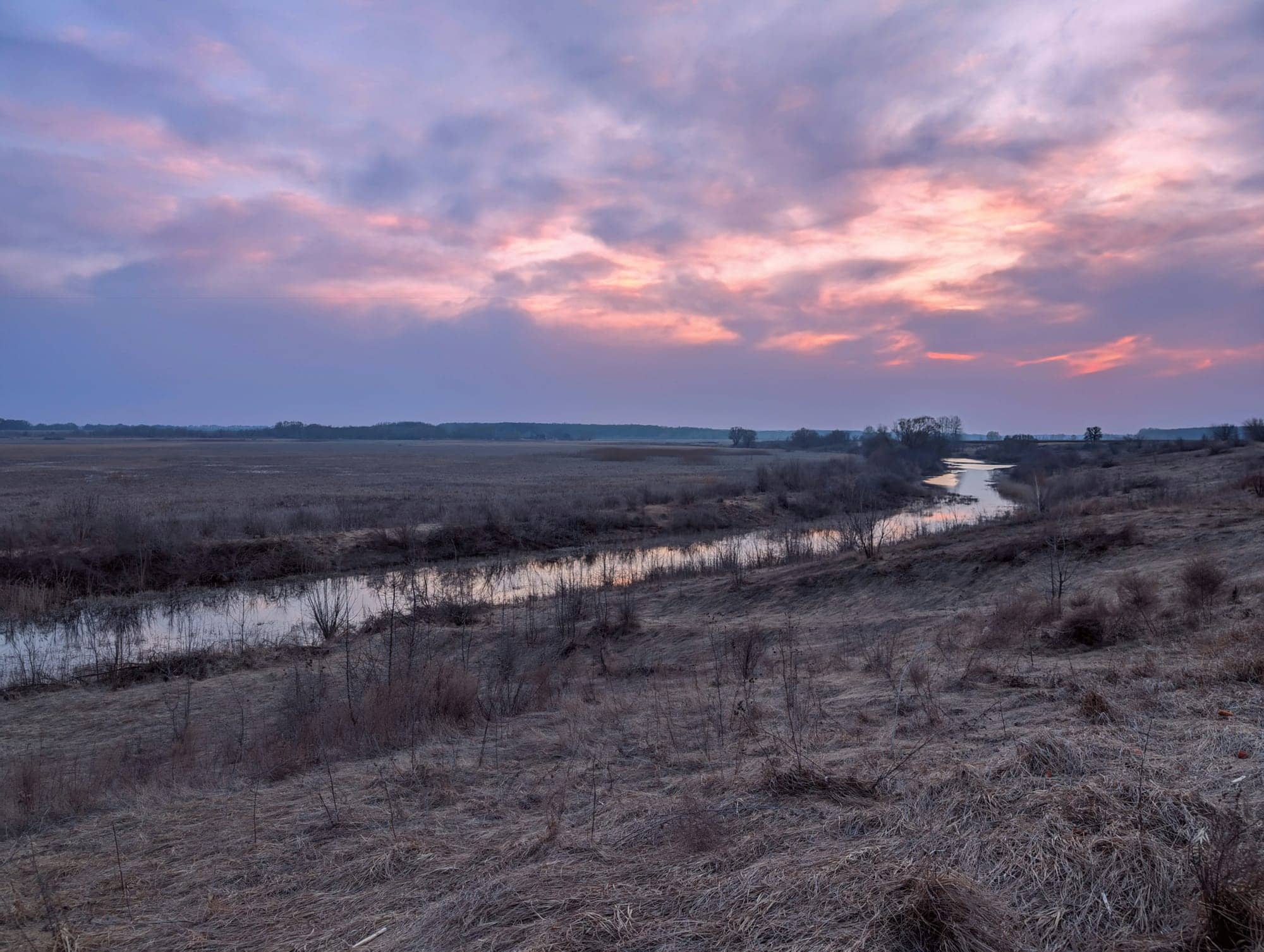 Purpose Investments annonce les distributions du premier trimestre de 2026 pour la Fiducie de prêts spécialisés Purpose